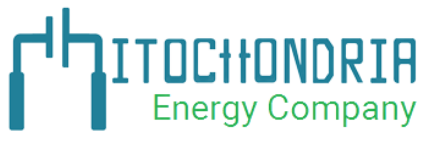 mitochondria